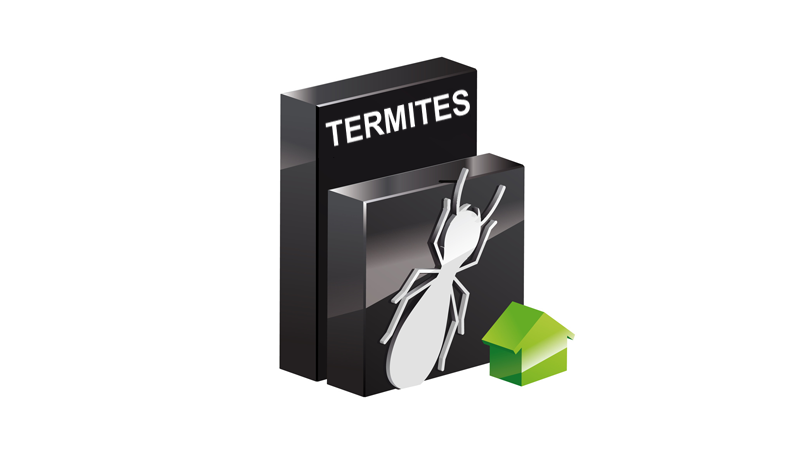 Formation continue Termites